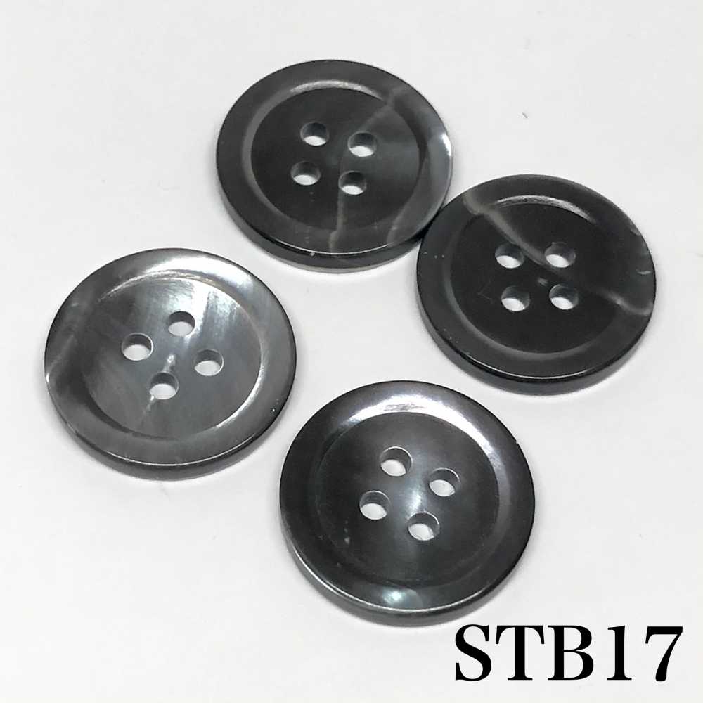 STB17 Hauptschale Knopf-geräuchert-[Taste] IRIS
