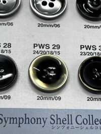 PWS29 Shell-Steuerungstaste[Taste] IRIS Sub-Foto
