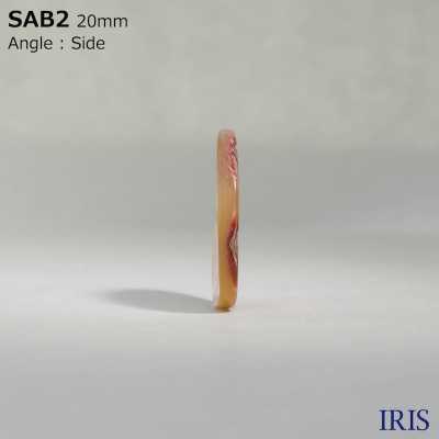 SAB2 Schale Aus Natürlichem Material, Glänzender Knopf Mit 2 Löchern[Taste] IRIS Sub-Foto