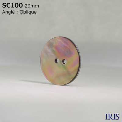 SC100 Schale Aus Natürlichem Material, Glänzender Knopf Mit 2 Löchern[Taste] IRIS Sub-Foto