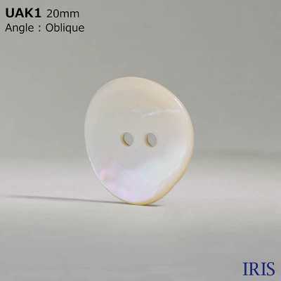 UAK1 Natürliches Material Shell Dyed Front Hole 2 Holes Glossy Button[Taste] IRIS Sub-Foto