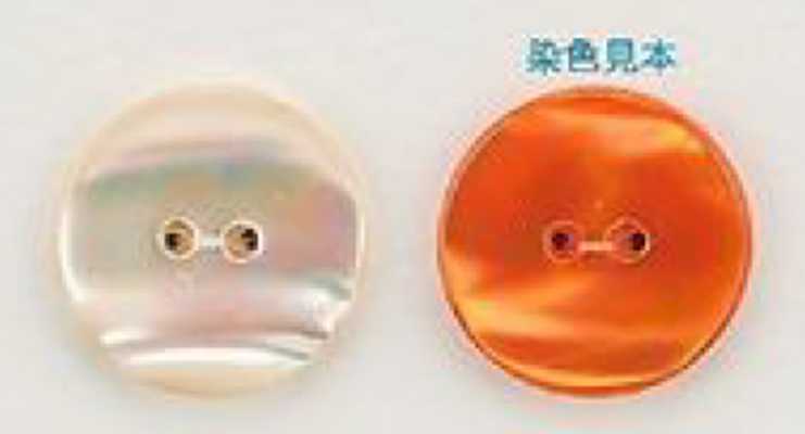 USO8 Natürliches Material Shell Dyed Front Hole 2 Holes Glossy Button[Taste] IRIS Sub-Foto