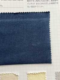 495 PABLO Jersey (Jersey//Trikot)[Textilgewebe] VANCET Sub-Foto