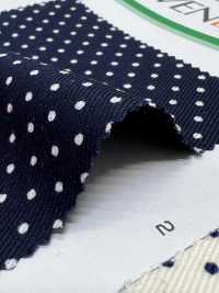 88610 SEVENBERRY 20s Twill Polka Dot Stripe Plaid[Textilgewebe] VANCET Sub-Foto