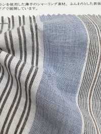 35464 Garn 60s Bio-Baumwollkräuseln Big Multi Stripe[Textilgewebe] SUNWELL Sub-Foto
