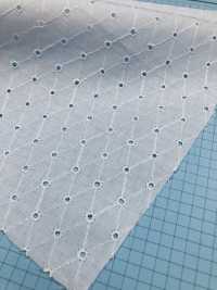 T26052-1 Baumwollspitze AO Off White[Textilgewebe] Kyowa Lace Sub-Foto