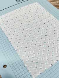 T26090-1 Baumwollspitze AO Off White[Textilgewebe] Kyowa Lace Sub-Foto