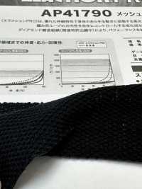 AP41790 Stretch-Textil-Mesh-Typ[Textilgewebe] Japan-Strecke Sub-Foto