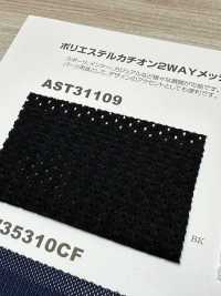 AST31109 Polyester Kation 2WAY Mesh[Textilgewebe] Japan-Strecke Sub-Foto