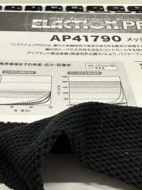 AST31109 Polyester Kation 2WAY Mesh[Textilgewebe] Japan-Strecke Sub-Foto