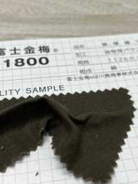 1800 Fujikinbai Cotton Thick Twill Nr. 79 Spezielle Paraffinverarbeitung[Textilgewebe] Fuji Gold Pflaume Sub-Foto