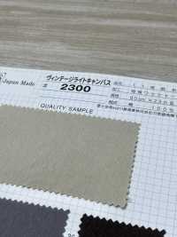 2300 Fujikinbai Cotton Canvas No. 11 Vintage Light Canvas[Textilgewebe] Fuji Gold Pflaume Sub-Foto
