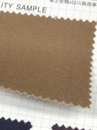 9100 Fuji Kinume Advanced Cotton Canvas No. 9 Paraffin Resin Processing[Textilgewebe] Fuji Gold Pflaume Sub-Foto