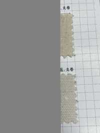 K1420 Fujikinbai Cotton 10/8 Oxford Generation Refining[Textilgewebe] Fuji Gold Pflaume Sub-Foto