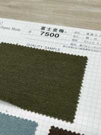 7500 Fujikinbai (Jute) Leinwand-Klebelaminierung[Textilgewebe] Fuji Gold Pflaume Sub-Foto