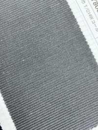 SBY80000 W Breite T / C 14W Cord[Textilgewebe] SHIBAYA Sub-Foto