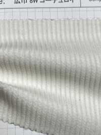 SB80803 Breites 8W Cord[Textilgewebe] SHIBAYA Sub-Foto