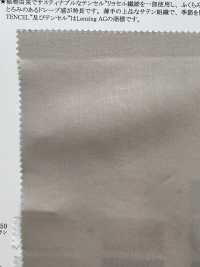 13256 80 Einzelfaden Baumwolle / Tencel (TM) Lyocellfaser Fibrillen Satin[Textilgewebe] SUNWELL Sub-Foto