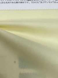 22337 60 Einzelfaden Baumwolle / Tencel (TM) Lyocell-Faser Drape Lawn[Textilgewebe] SUNWELL Sub-Foto