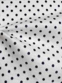 350 40 / Circular Rib Polka Dot Print (Mercerisiert)[Textilgewebe] VANCET Sub-Foto