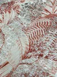 54033-2 Botanisches Muster Mit Spitzendruck[Textilgewebe] SAKURA-UNTERNEHMEN Sub-Foto