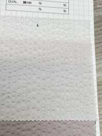 M9000 Direkter Waffelstrick[Textilgewebe] Kumoi Beauty (Chubu Velveteen Cord) Sub-Foto