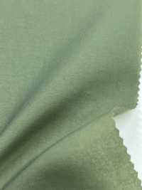 LIG6650 Ny Taslan Light Taft[Textilgewebe] Lingo (Kuwamura-Textil) Sub-Foto
