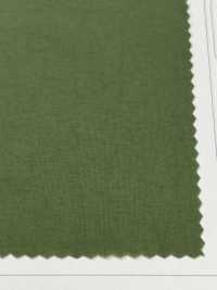 LIG6650 Ny Taslan Light Taft[Textilgewebe] Lingo (Kuwamura-Textil) Sub-Foto