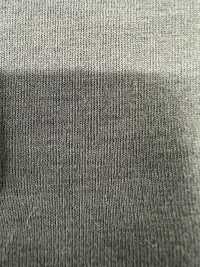 FJ230170 E.EARTH Trikot[Textilgewebe] Fujisaki Textile Sub-Foto