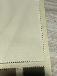 BD2589 Satin Stretch Pfirsich[Textilgewebe] COSMO TEXTILE Sub-Foto