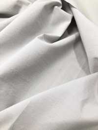 SHA360 Shamiran Erfrischender Taft[Textilgewebe] Masuda Sub-Foto