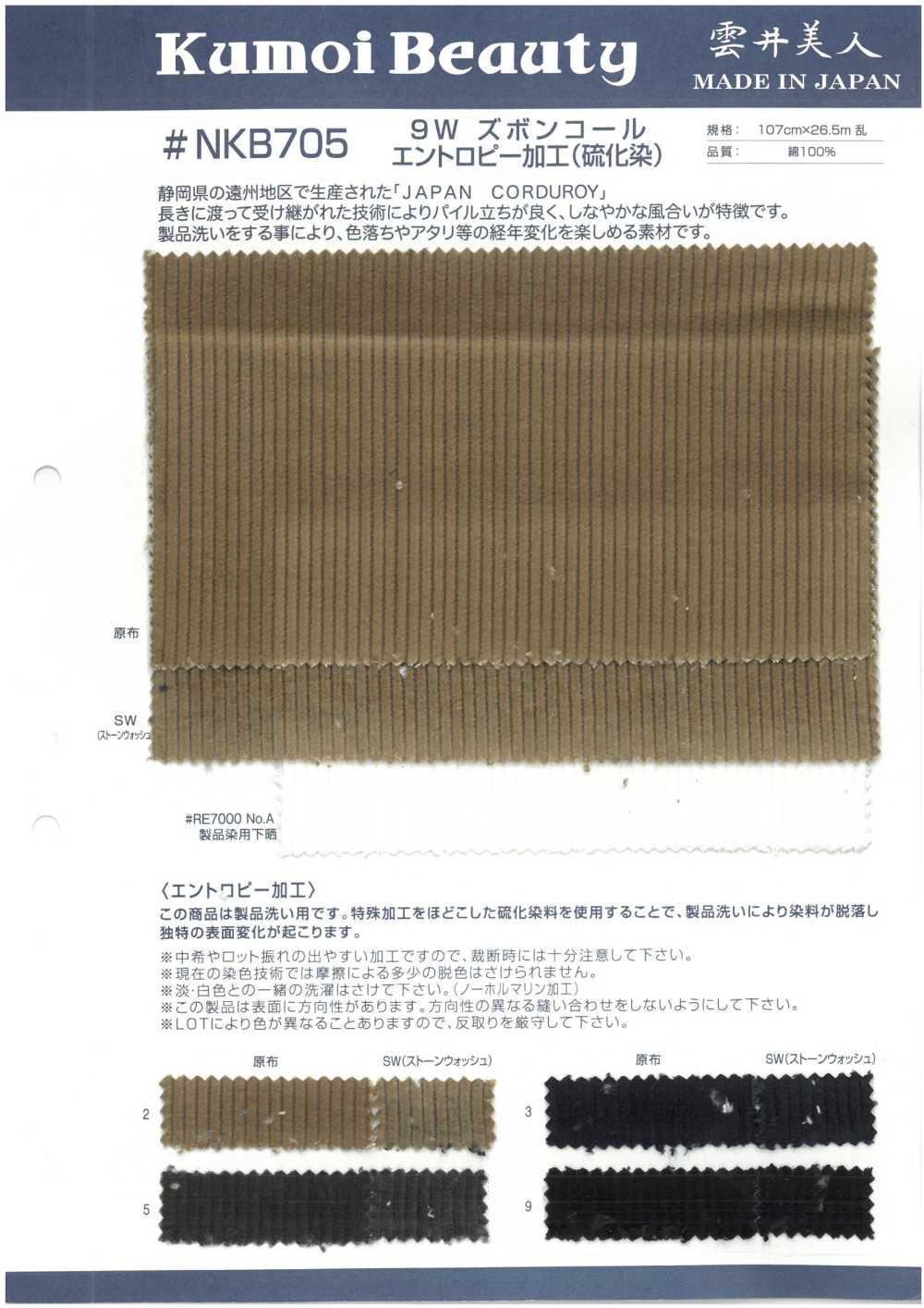 NKB705 9W-Hose Cord-Entropieverarbeitung (Sulfidfärbung)[Textilgewebe] Kumoi Beauty (Chubu Velveteen Cord)