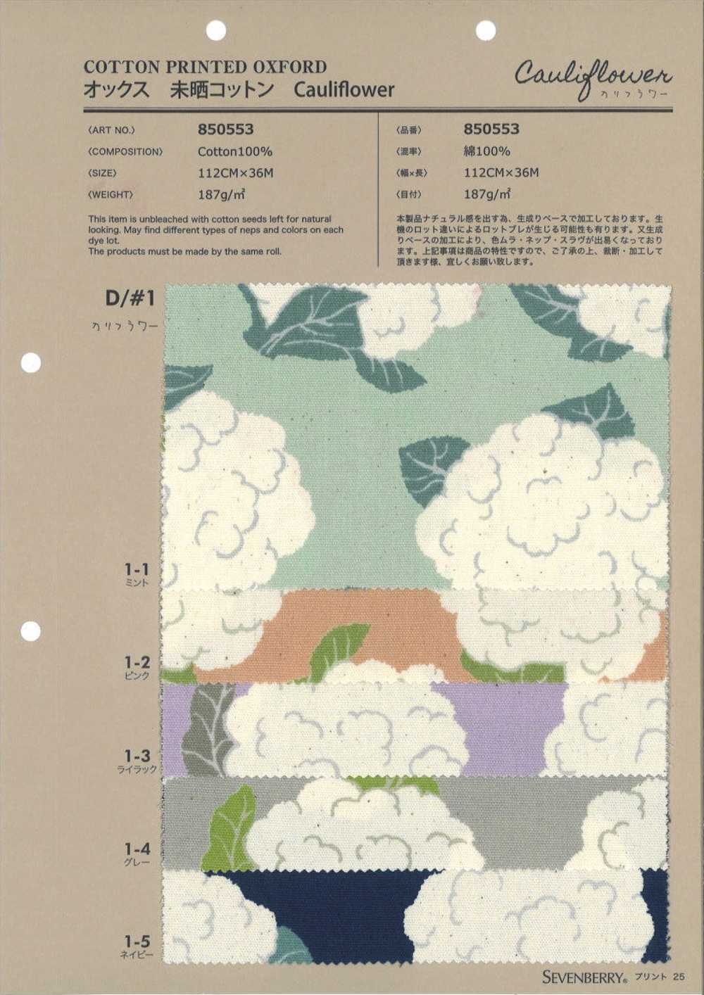850553 Ungebleichter Oxford-Baumwoll-Blumenkohl[Textilgewebe] VANCET