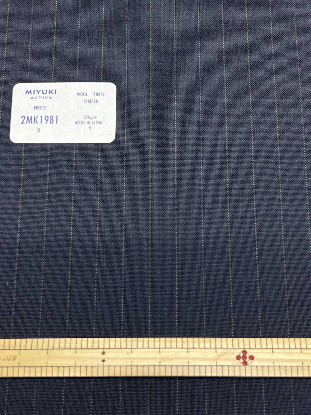 2MK1981 ACTIVA STRETCH Marineblau Gestreift[Textil] Miyuki-Keori (Miyuki)