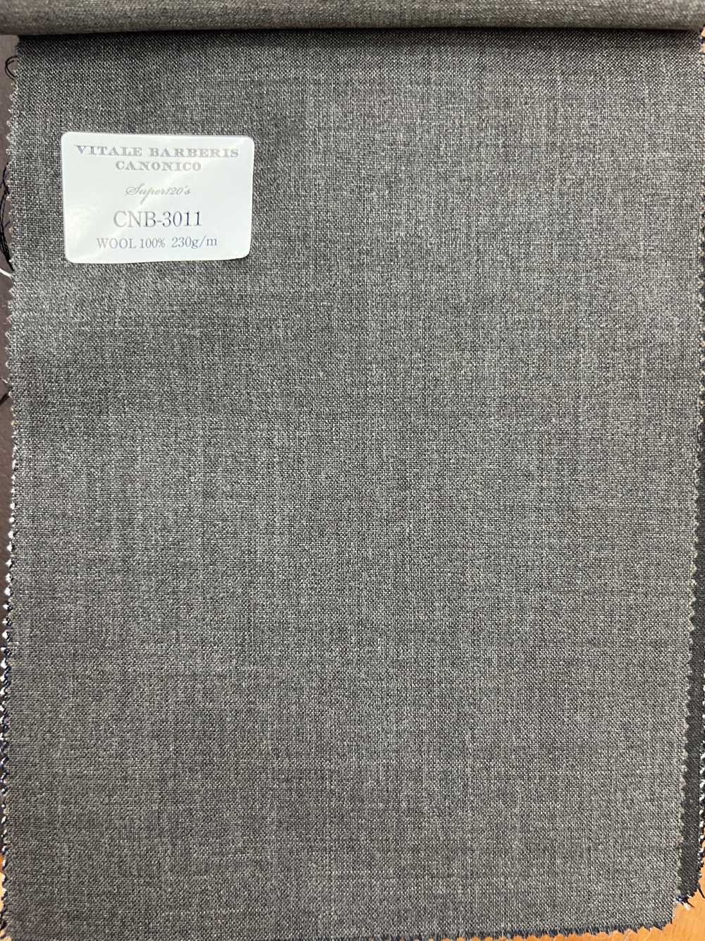 CNB3011 CANONICOs Standard Super120‘ Einzelfaden Ohne Muster[Textil] CANONICO