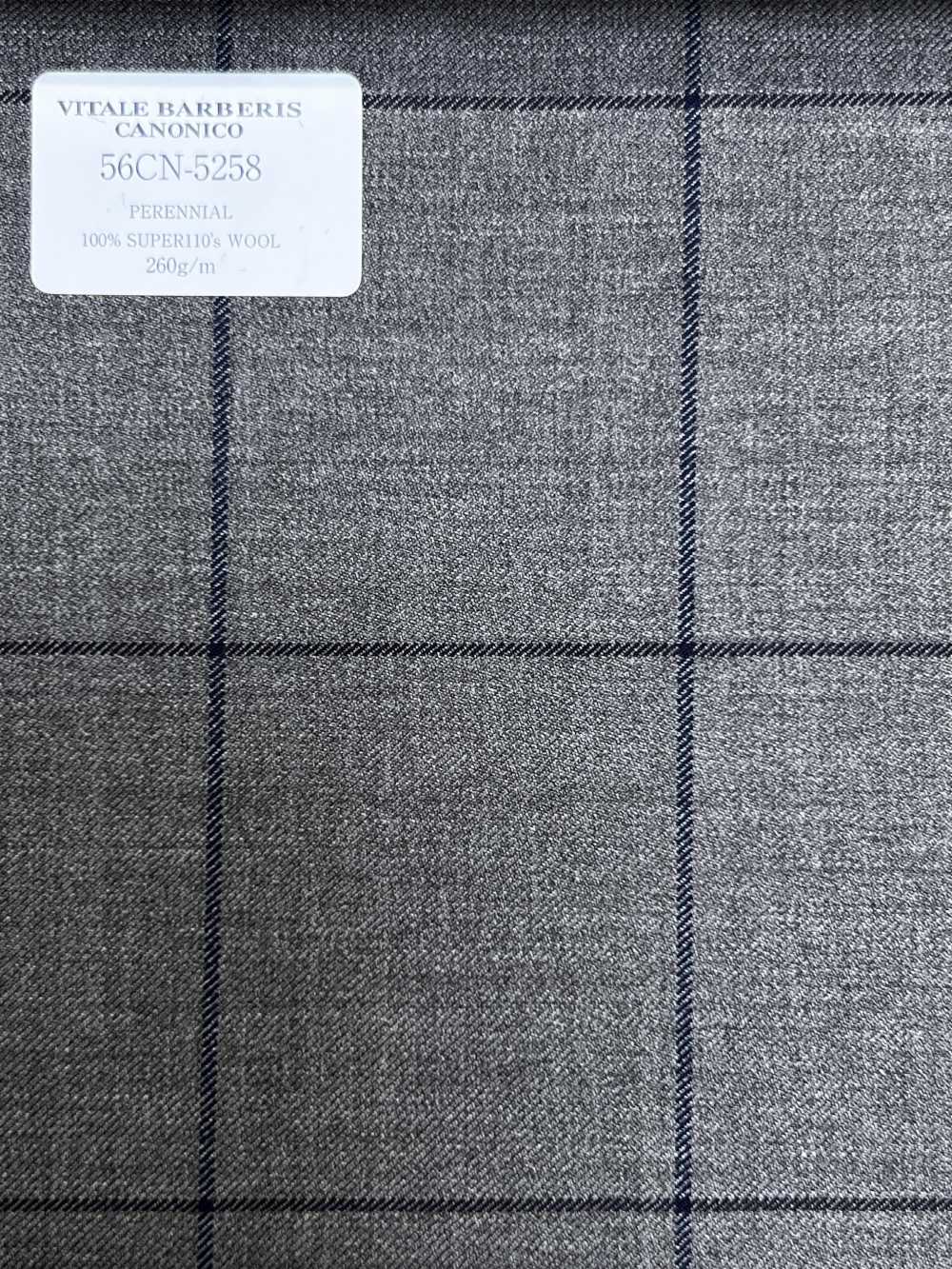 56CN5258 CANONICO (Canonico) PERENNIAL-CLASSICS Braun/Marineblau Fensterkaro[Textil] CANONICO