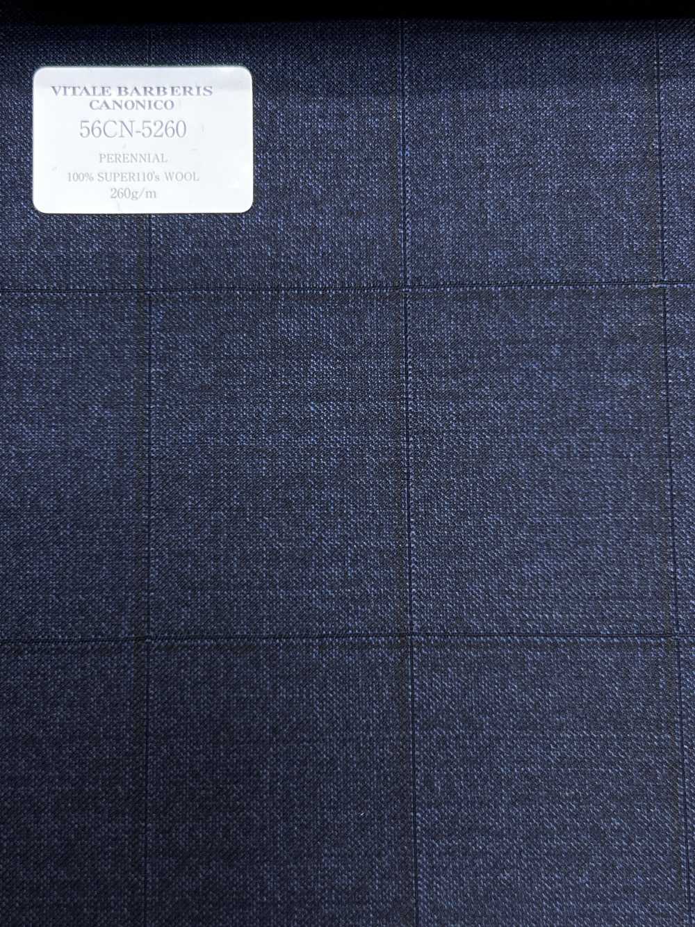 56CN5260 CANONICO (Canonico) PERENNIAL-CLASSICS Marineblaues Fensterkaro[Textil] CANONICO