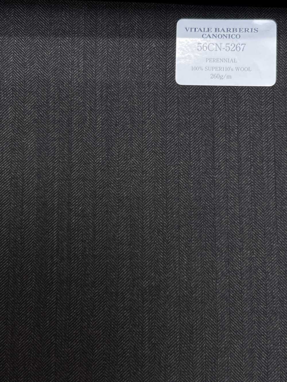 56CN5267 CANONICO (Canonico) PERENNIAL-CLASSICS Braunes Fischgrätmuster[Textil] CANONICO