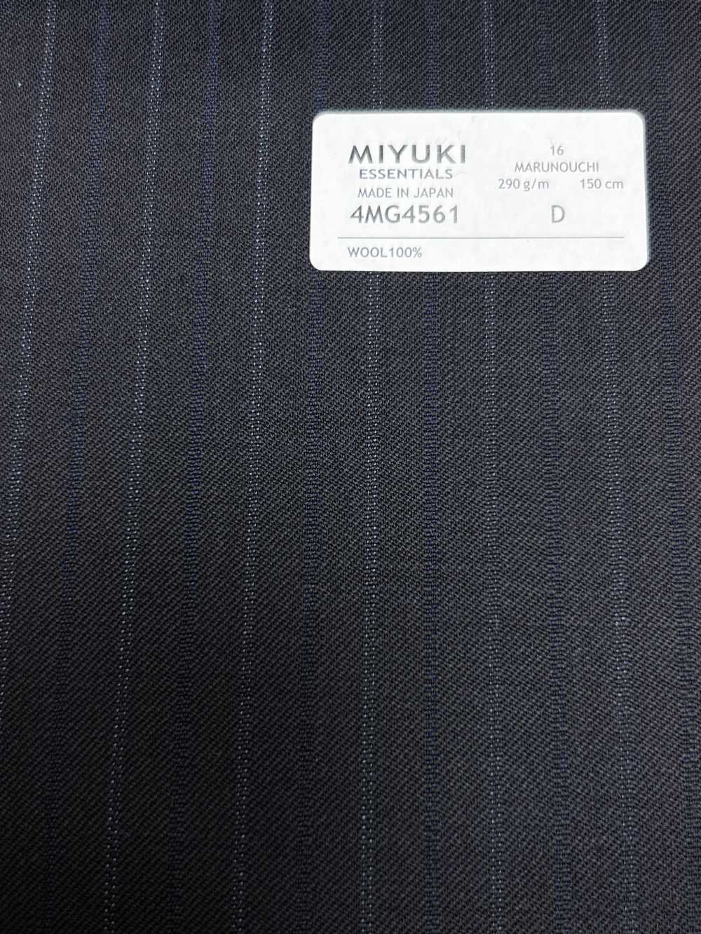 4MG4561 26AW MARUNOUCHI Köper Marine-Streifen[Textil] Miyuki Wollmühlen
