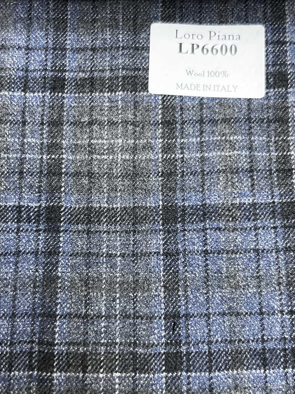 LP6600 Loro Piana Grau X Blau Karo[Stoff] HOSOI SYOJI