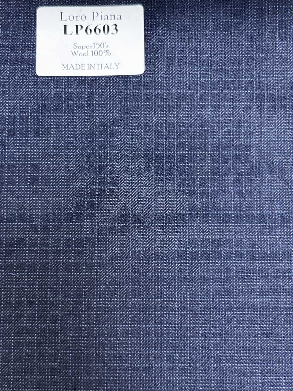 LP6603 Loro Piana Super150's Marineblau kariert[Stoff] HOSOI SYOJI