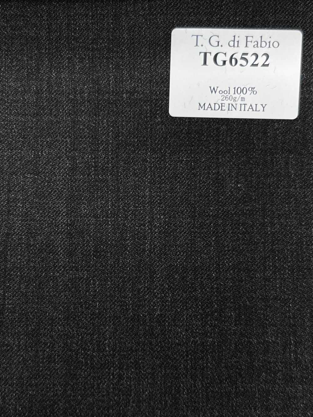 TG6522 T.G Di FABIO Grau einfarbig[Textil] HOSOI SYOJI