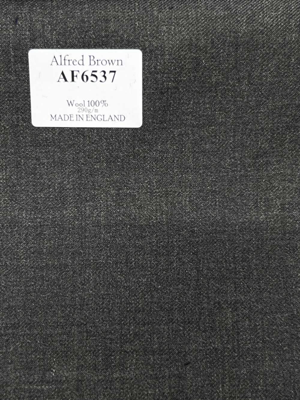 AF6537 Alfred Brown Dunkelmarine Uni[Textil] HOSOI SYOJI