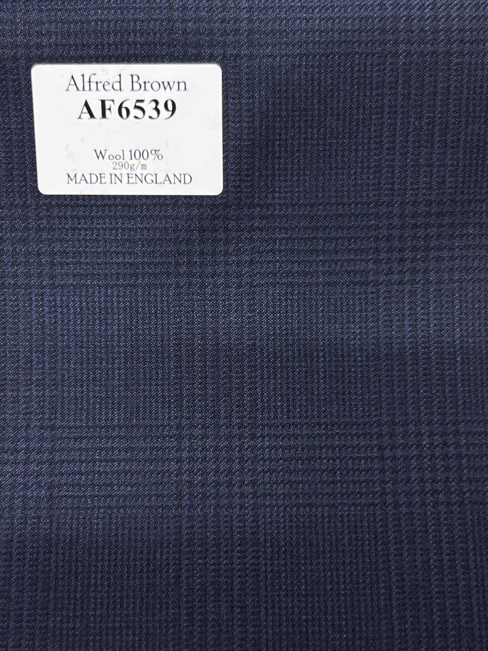 AF6539 Alfred Brown Marineblau kariert[Textil] HOSOI SYOJI