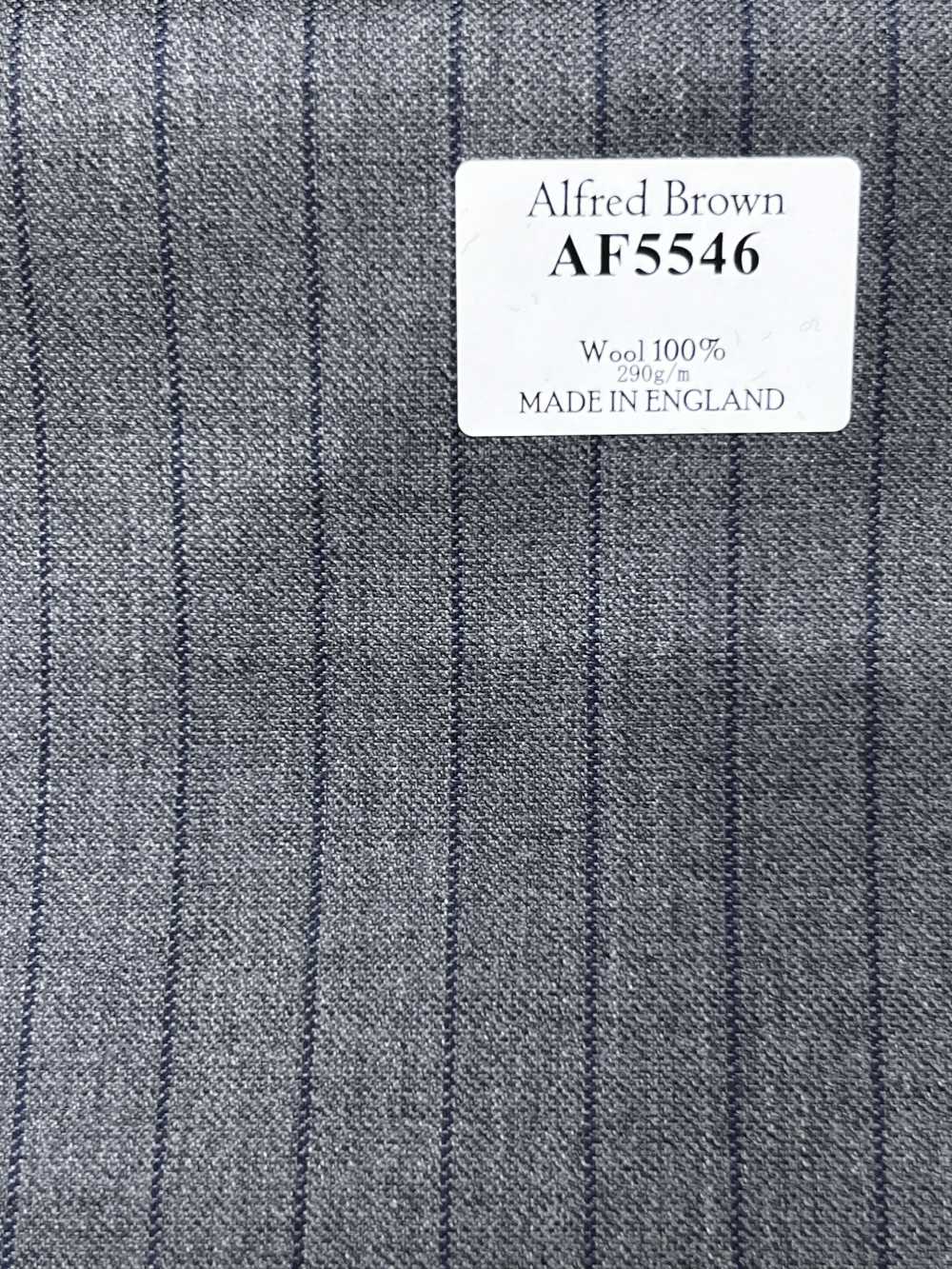 AF5546 Alfred Brown Grau × Marineblau gestreift[Textil] HOSOI SYOJI