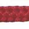 Rot