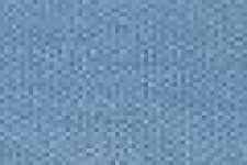 Blaubeere