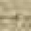 Beige Beige