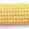 Neapelgelb