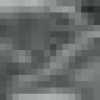 Grau